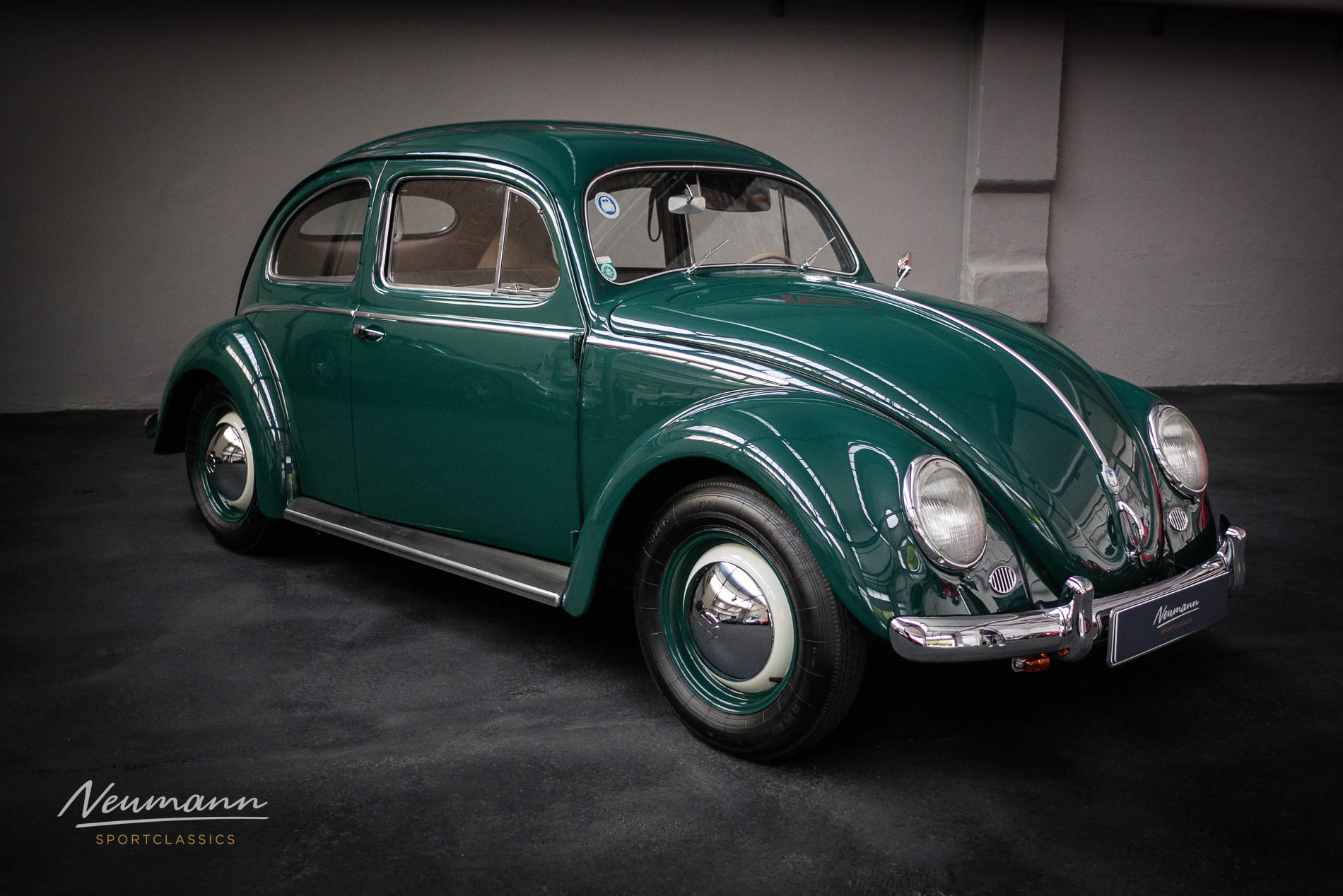 VW-Kaefer-Typ11–10
